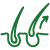 Hair growth icon